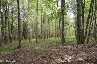 L3.21 Otte Rd, Fulton, NY 12194