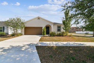10628 Massimo Dr, Wimauma, FL 33598