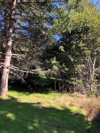 278 Ridge Rd, Whitethorn, CA 95589