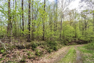 Lot 64 Big Springs Trail Unit 64, Qualla, NC 28719