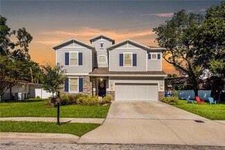 3609 S Concordia Ave, Tampa, FL 33629