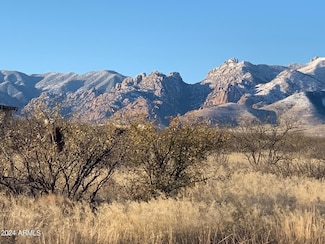 TBD107 Doe Ranch Rd Unit 53, Pearce, AZ 85625