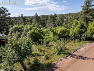 0 Buena Vista Ave Unit 8146640, Palmer Lake, CO 80133