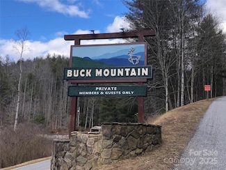 TBD Casey Mountain Rd Unit 215, Purlear, NC 28665