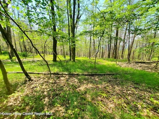 Tbd Piney Ln, Cragsmoor, NY 12566