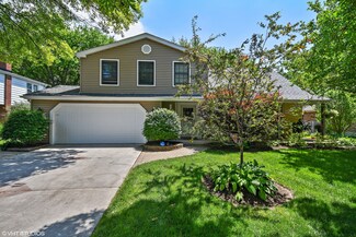 1556 Shenandoah Ln, Naperville, IL 60563