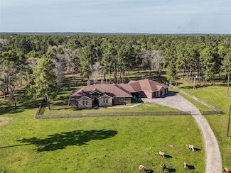 26250 Riley Rd, Waller, TX 77484