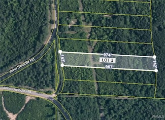 Lot 3&4 John Swindle Rd, Tuscaloosa, AL 35475