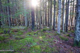 L14 BN Small Tract Rd, Haines, AK 99827