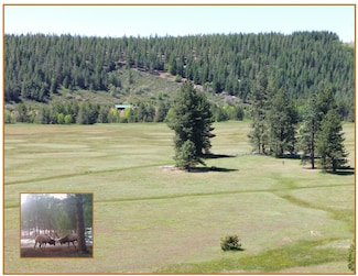 2125 Lava Dr, McCloud, CA 96057
