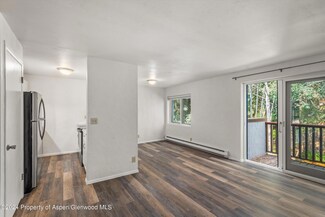 425 Park Cir Unit B, Aspen, CO 81611