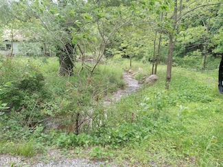 9655 Troutdale Hwy, Troutdale, VA 24378