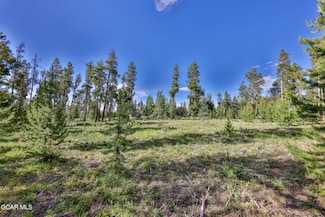 2921 Gcr 511, Granby, CO 80446