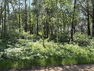 TBD S Sluetter Rd, Pequot Lakes, MN 56472