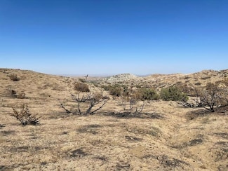 0 Vic Avenue Y4 & 96th St E Unit 24000021, Juniper Hills, CA 93543