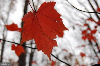 Lot 12 Tall Pines Ln, Berkeley Springs, WV 25411
