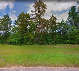 0 Navasota, Mount Vernon, TX 75457