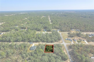6320 N Matheson Dr, Pine Ridge, FL 34434