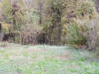 43 Argyle Ln, Asheville, NC 28806