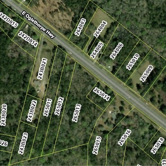13225 E Oglethorpe Hwy, Midway, GA 31320