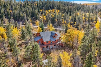 1666 High Creek Rd, Fairplay, CO 80440