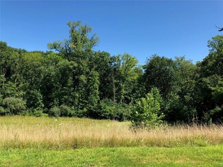 0Lot 35 Sandy Woods Dr, Winfield, MO 63389