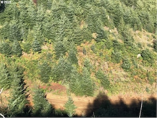 80788 Hamlet Rd, Seaside, OR 97138