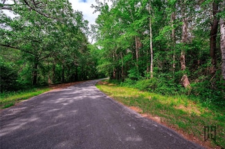 0064 Holomon Cemetery Rd, Dubberly, LA 71024