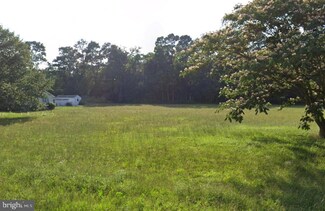 20168 Shingle Point Rd, Georgetown, DE 19947