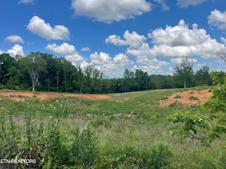 10 Laura Boling Loop Rd, Strawberry Plains, TN 37871