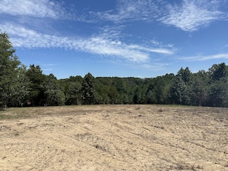 100 Truetts Pvt Trail, Cottontown, TN 37048
