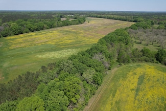 0 County Road 2 Unit 23271490, Fort Davis, AL 36031