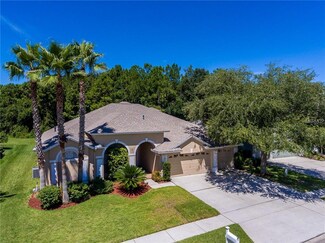 18412 Eastwyck Dr, Tampa, FL 33647