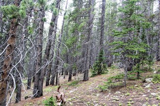 Group 2-2 Lamartine Rd Unit 2379A, Idaho Springs, CO 80452