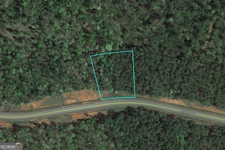 120 Heights Ave, Forsyth, GA 31029