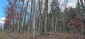 123 Ransom Rd, Binghamton, NY 13901