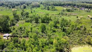 Parcel 20 Munsell Rd, Iosco Township, MI 48843