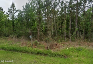 4261 Caribbean St, Bay St. Louis, MS 39520