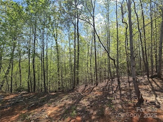 LOT 20 Touch Me Not Trail, Lake Lure, NC 28746