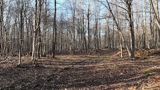 00 Jackson Rd, Osceola, NY 13437