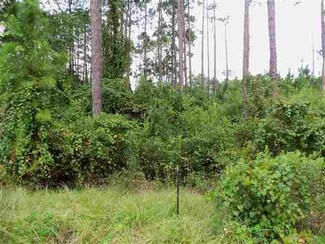 0 Bay Magnolia Ct Unit 219842, Carrabelle, FL 32322
