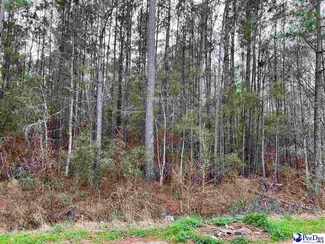 0 Possom Fork Rd, Johnsonville, SC 29555