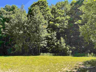 Unit 128 Founders Ridge, Kearney Township, MI 49615