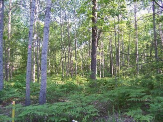 0 Mcintire Rd Unit (Parcel 11), Comins, MI 48619