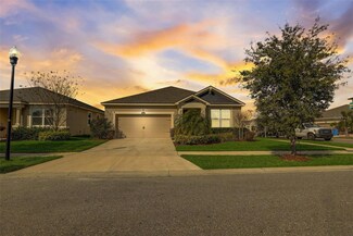 13501 Texas Sage Place, Riverview, FL 33579