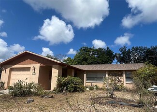 11641 Nature Trail, Port Richey, FL 34668