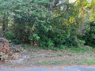 321 NE 49th St, Oak Island, NC 28465