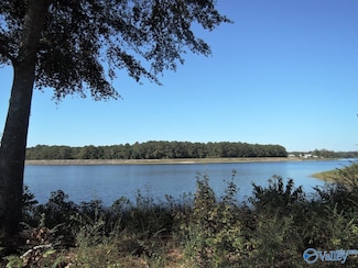 Lot 31 County Road 1462, Cullman, AL 35055