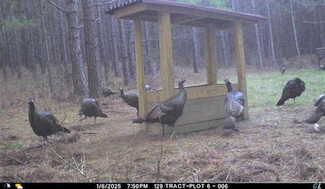 0 Eatonton Hwy Unit 23385714, Gray, GA 31032