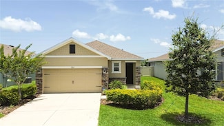 3762 Mossy Limb Ct, Palmetto, FL 34221